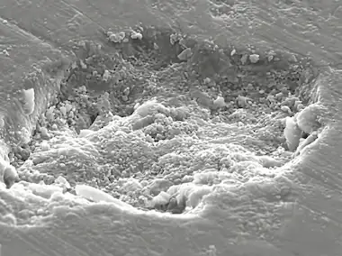 SEM Micrograph - Non Trattato