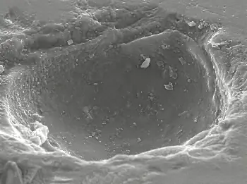 SEM Micrograph - Trattato Tekno Touch